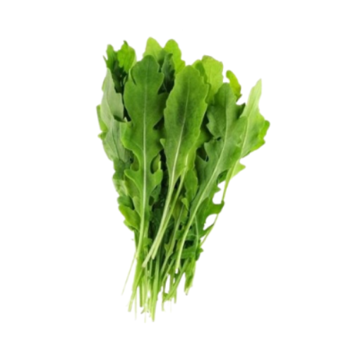 جرجير ورق ربطة